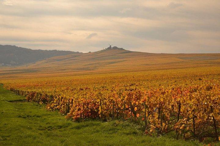 Private Full-Day Tour of Champagne Region