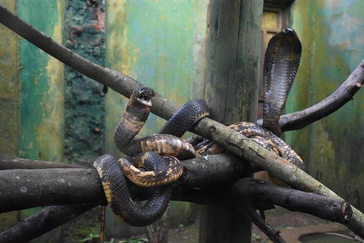 Entebbe Eco Tour - Full Day (Private)
