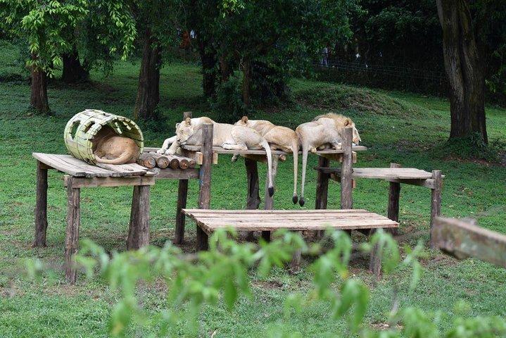 Entebbe Eco Tour - Full Day (Private)