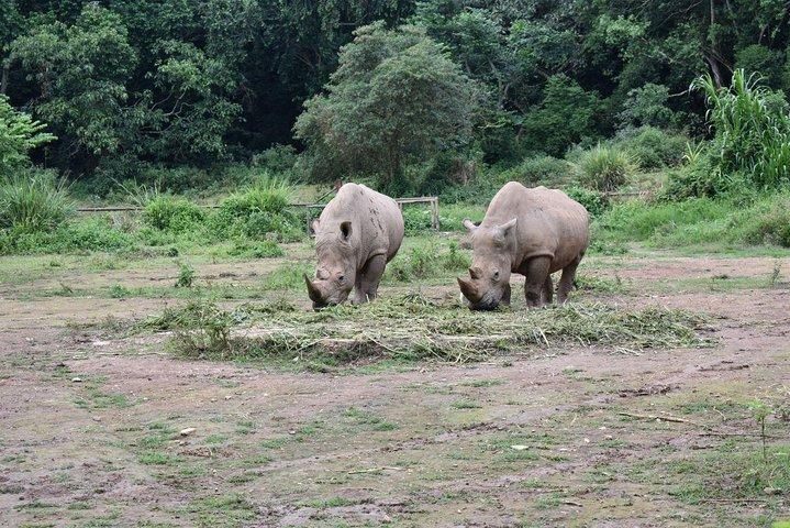 Entebbe Eco Tour - Full Day (Private)