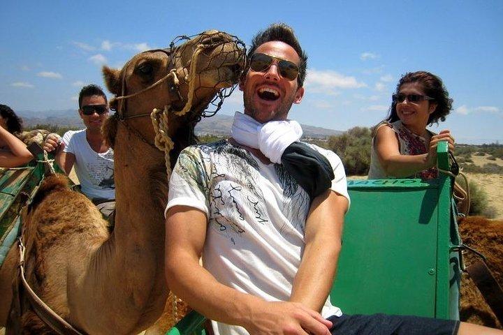 Camel riding in the dunes of Maspalomas
