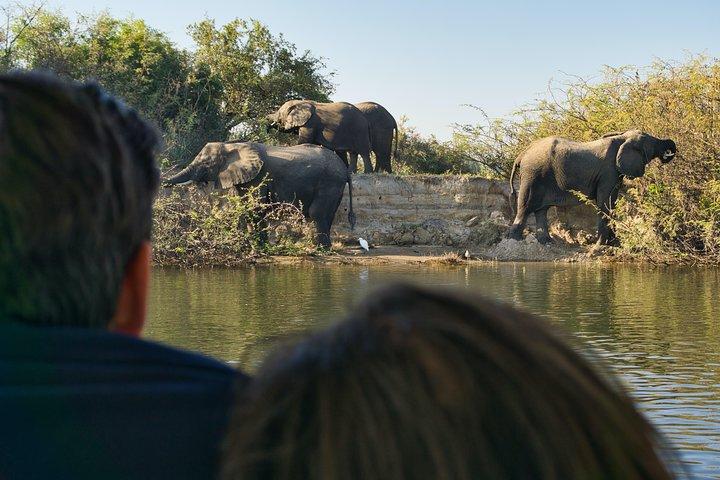 Breakfast Cruise on the Zambezi River from Victoria Falls