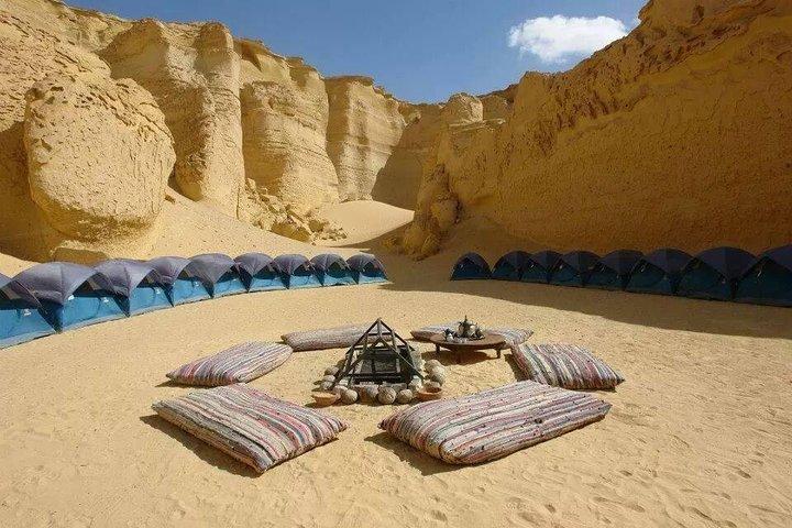 Private day tour El Fayoum ,and Valley of Whales with safari