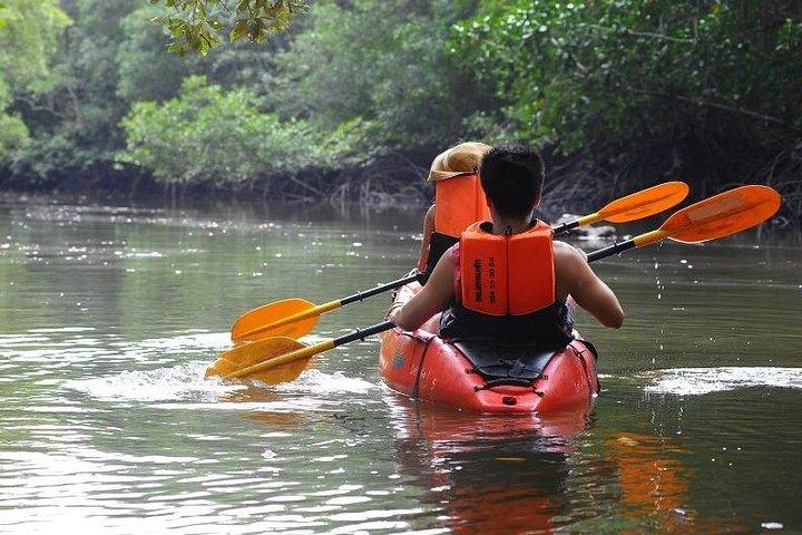 Deep Mangrove and Canyon Kayak Tour in Krabi