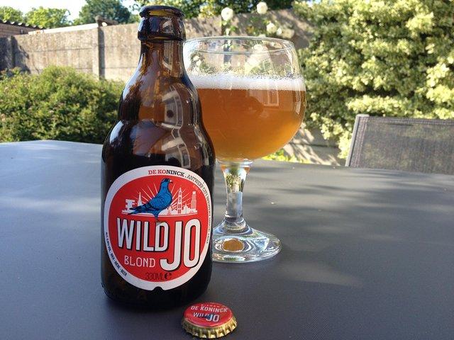 Antwerp Beer Tour