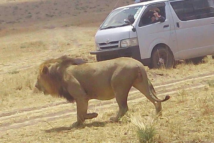 7 Days in Masai Mara- Lake Nakuru- Lake Naivasha- Amboseli National Park