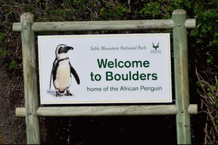 Penguins and Wine.