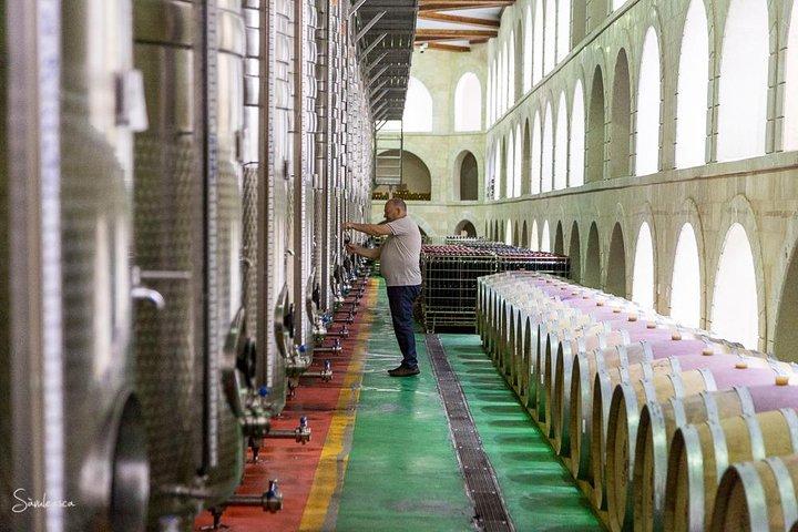Pomegranate Wine Tour with Local Lunch