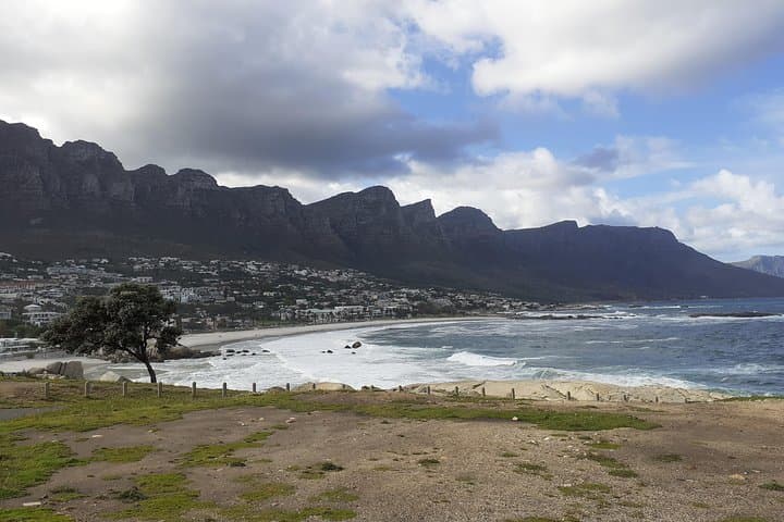 Half day African Penguin Tour