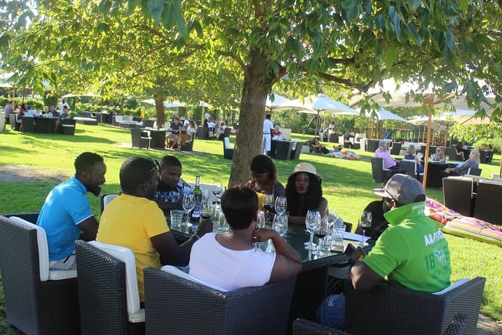 Private Visit to Wineries Stelenbosch from Cape Town Price/Group