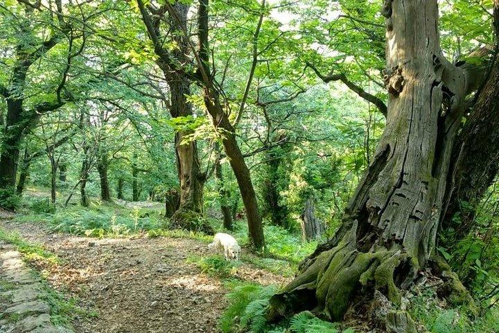 Bike & hike tour