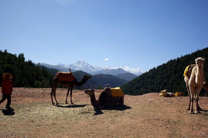 Ourika Valley Full-Day Trip
