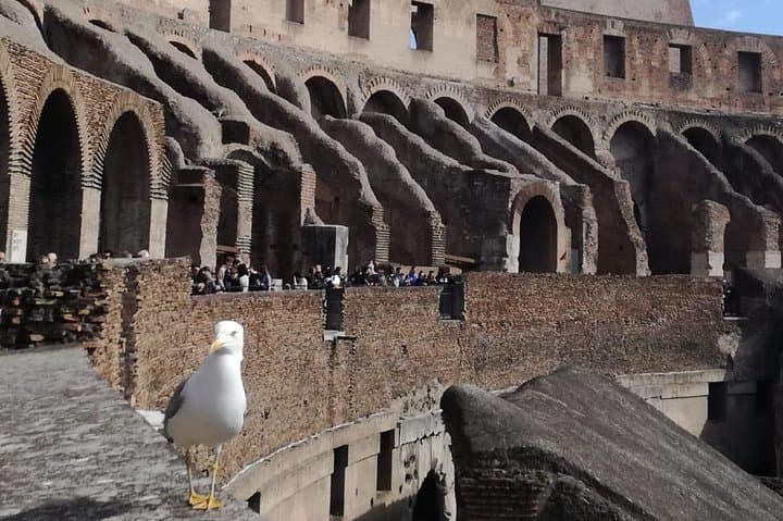 Private tour of Colosseo