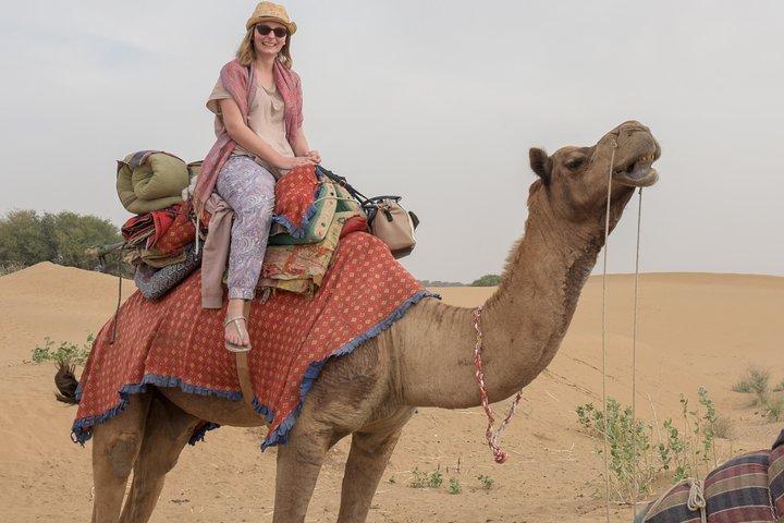 Non-Touristic overnight Camel Safari