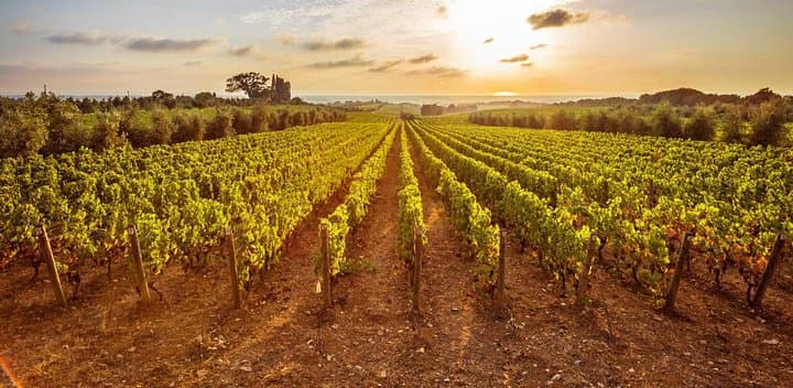 Private Mycenae, Anc Nemea & Nemean Winery Experience from Athens