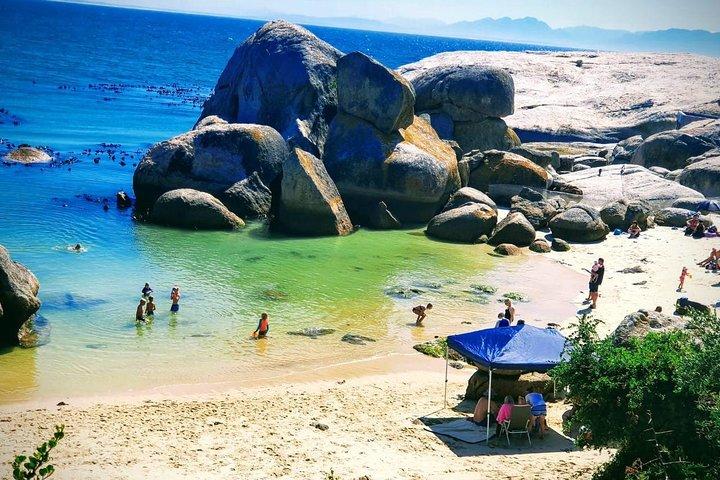African Penguins (Boulders Beach) Half Day tour from Cape Town