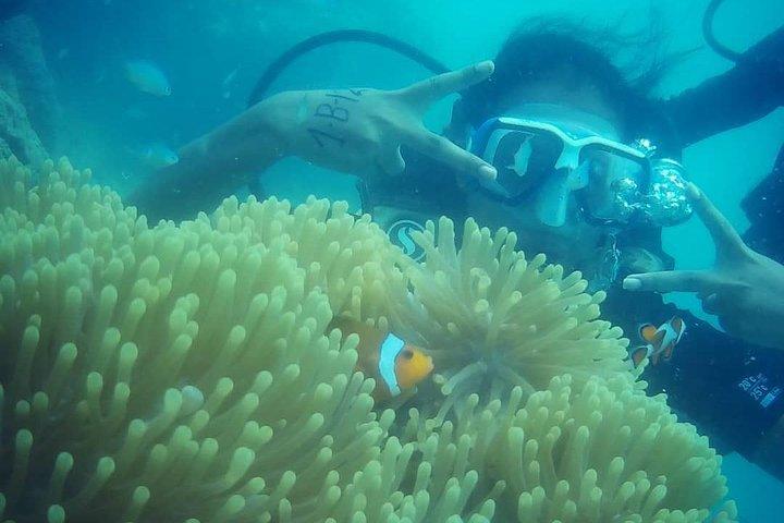 Scuba Diving (shore Dive) at Havelock Islands