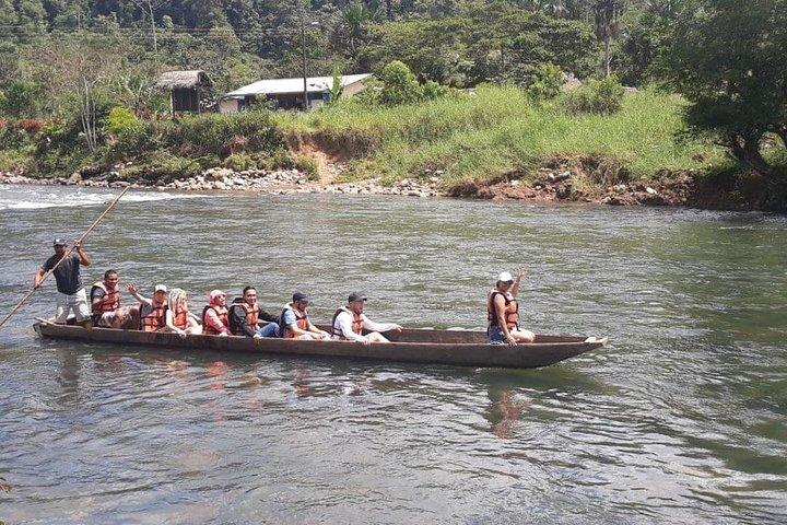 Jungle Tours - Amazon | Full Day | Various activities