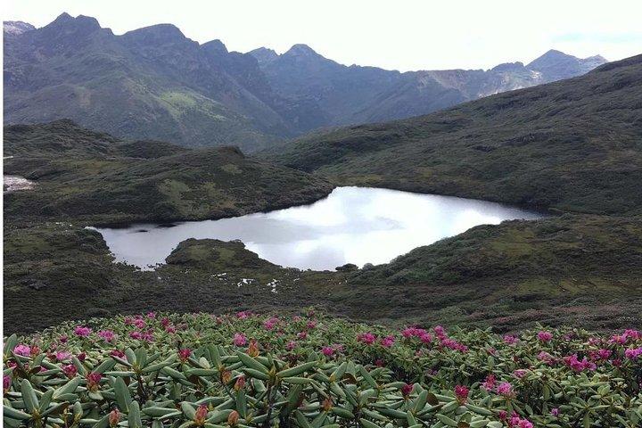 Druk Path Trek in Pristine Bhutan