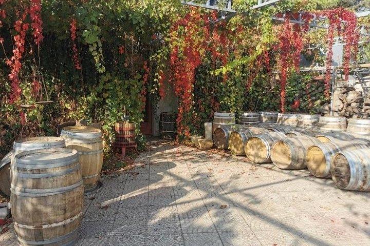 Lebanon Wine Tasting Tour From Beirut (Entrance Fee Included)