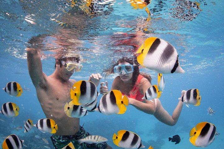 Bora Bora Jet Ski Tour, & Eco Shark / Ray Snorkel Cruise