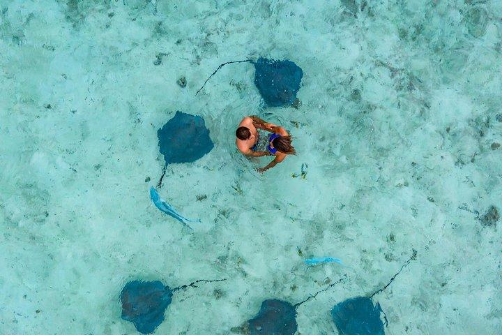 Bora Bora Jet Ski Tour, & Eco Shark / Ray Snorkel Cruise