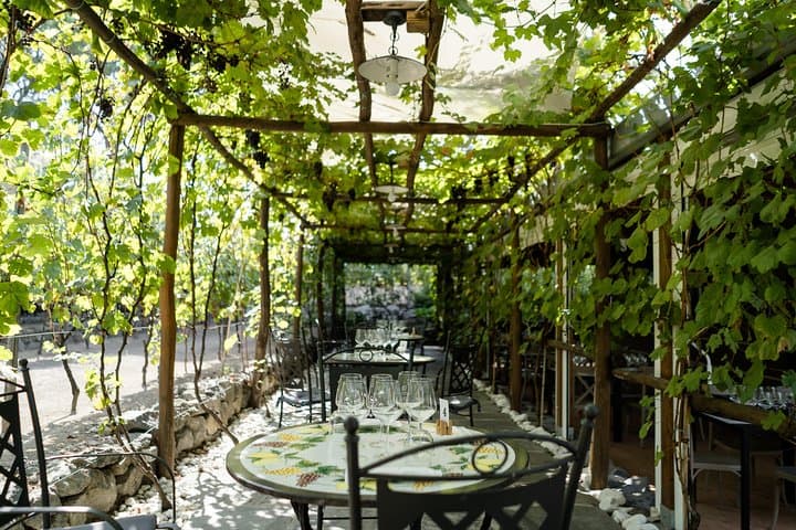 Seafood Lunch & Wine Tasting with Scenic Golf Cart Tour