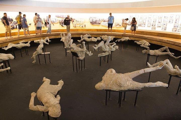 POMPEI & VESUVIUS TOUR from NAPLES (tickets and Hotel Pick-up INCLUDED)