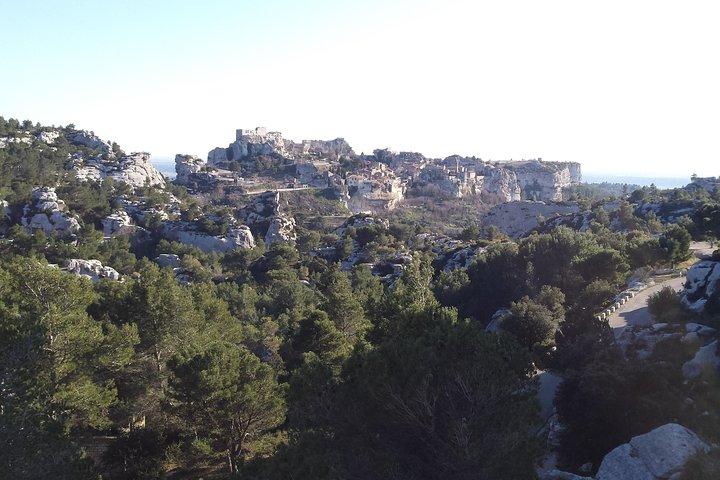 Half-Day Van Gogh Tour of Provence from Avignon