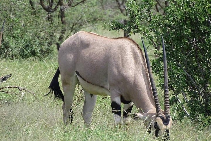 5 Day safaris Lake Naivasha, Maasai Mara, Nakuru National