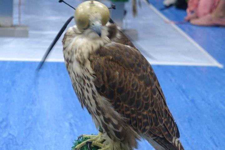 Falcon Hospital Tour with Hotel Pick up & Drop off