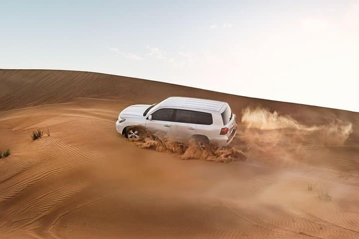 Dubai Desert Excursions with BBQ Dinner & Live Entertainment