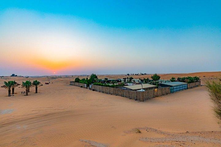 Guided Desert Quad Safari with Camelride, BBQ-Dinner and live-Shows