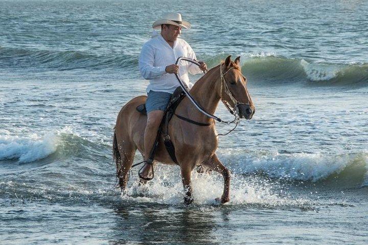 Horseback Riding on the beach with Colombian Paso Show, Cartagena