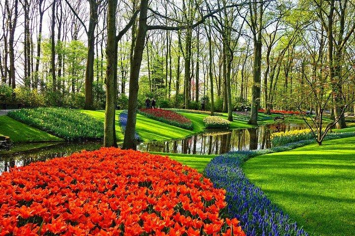 Tour to the Keukenhof Tulip fields from The Hague