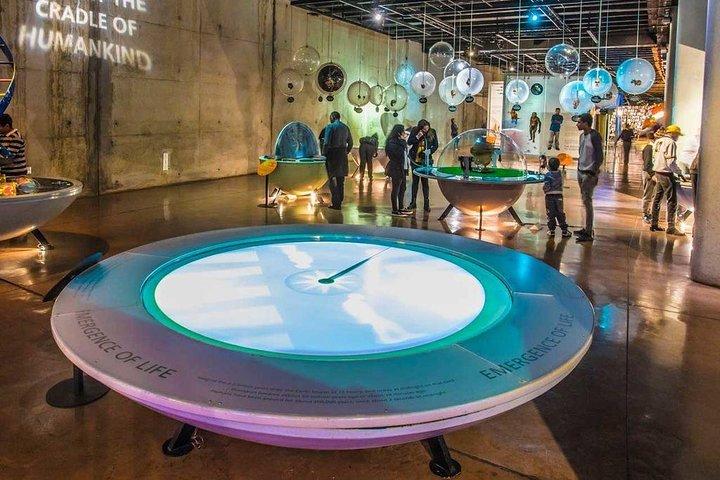 Cradle of Humankind & Sterkfontein Caves Tour