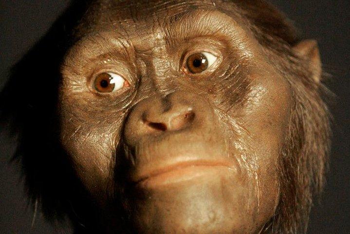 Cradle of Humankind & Sterkfontein Caves Tour