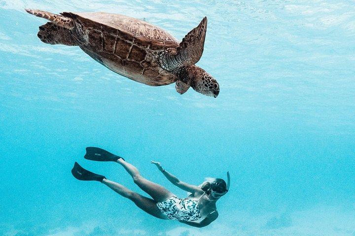 Private Boat Tour of Moorea Lagoon with Underwater Photography