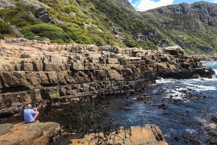 Cape Peninsula with a Marine Biologist
