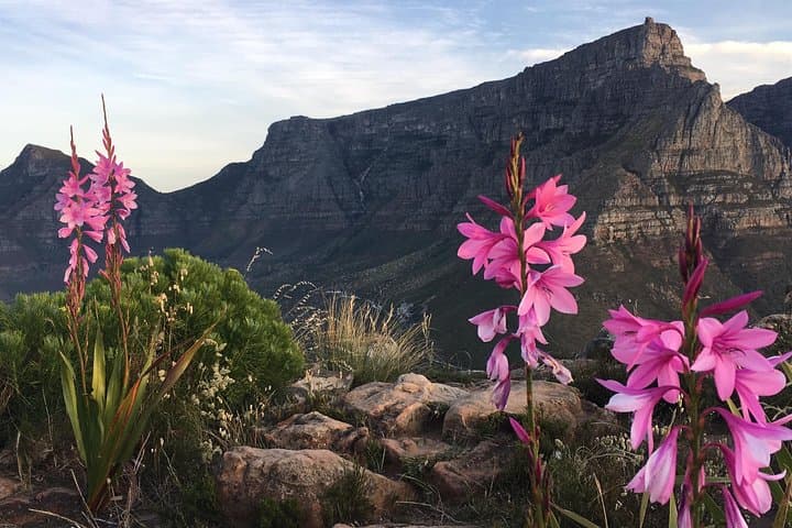 Lion's Head Sunset Hike in Cape Town