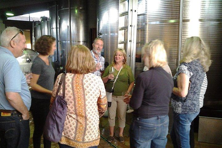 4 Wines Tasting with 2 Tuscan Cheeses & Tour at the winery