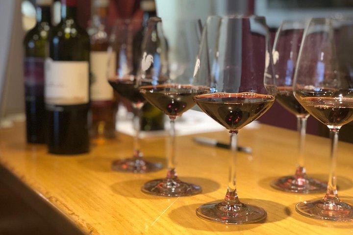 4 WINES TASTING in a Chianti Classico Farm (Visit/tour at the winery included)