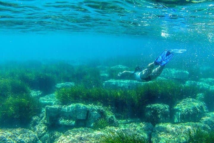 Classic Boat Tour of Naples Bay