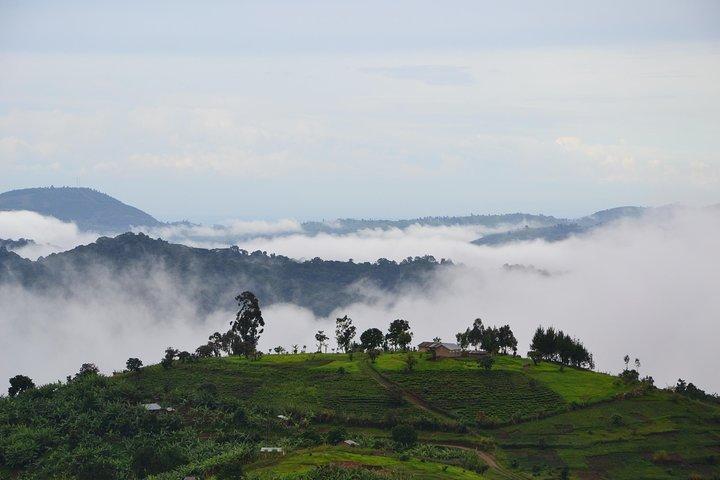 4 days Gorilla trekking and wildlife experience