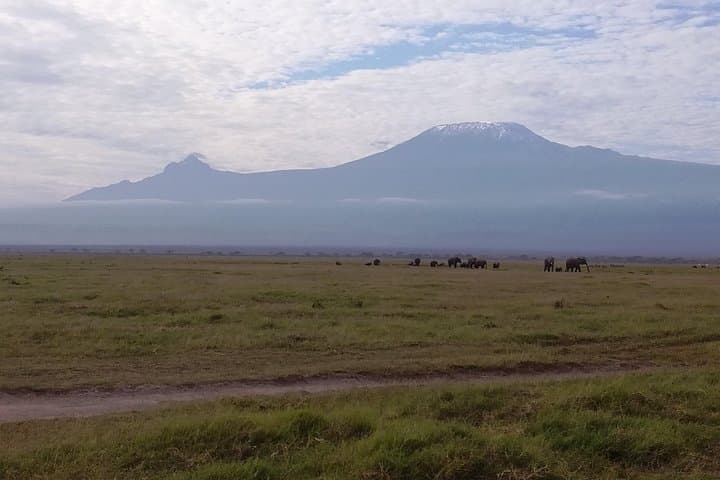 4 Days Amboseli & Tsavo West Wildlife Safari