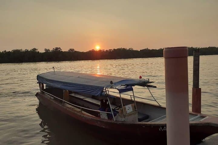 Kuala Selangor Fireflies Tour with Scenic Views & Boat Ride