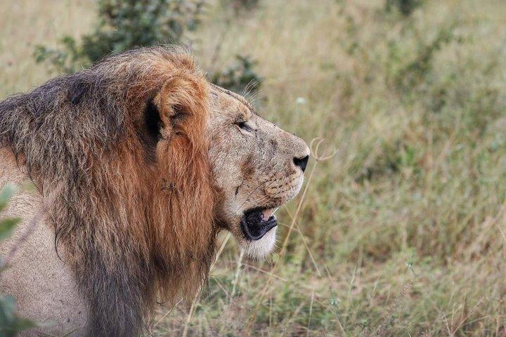 Luxury Okavango Safari - 3 Day