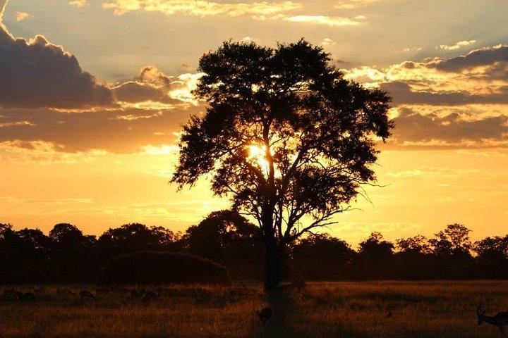 Luxury Okavango Safari - 3 Day