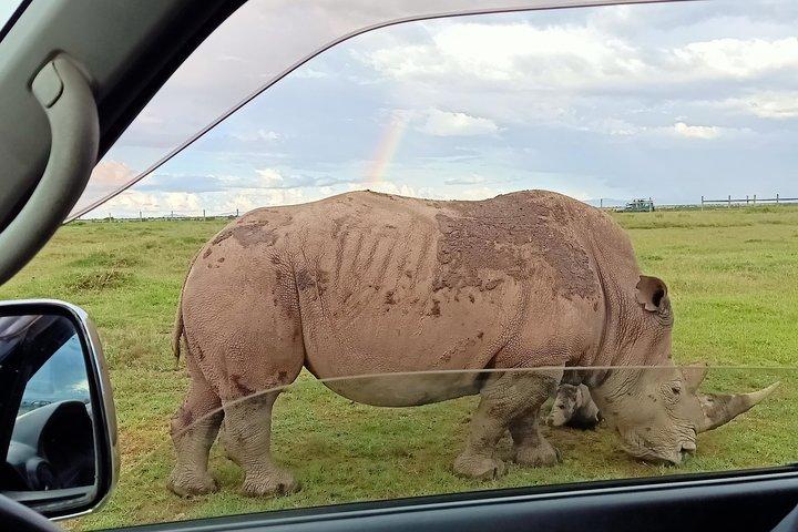 5 Days Olpejeta Conservancy & Solio Rhino sanctuary