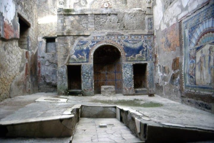 Shore excursion Herculaneum Mt Vesuvius and winery visit